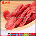 Delicious goji dried goji berries fresh goji anti-aging food